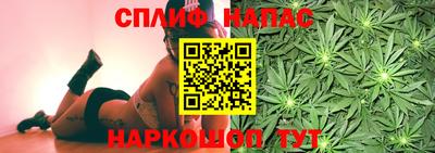 не бодяженный Сланцы