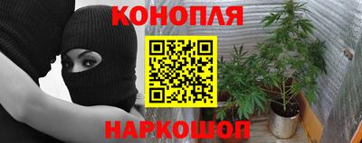 apvp Старая Купавна