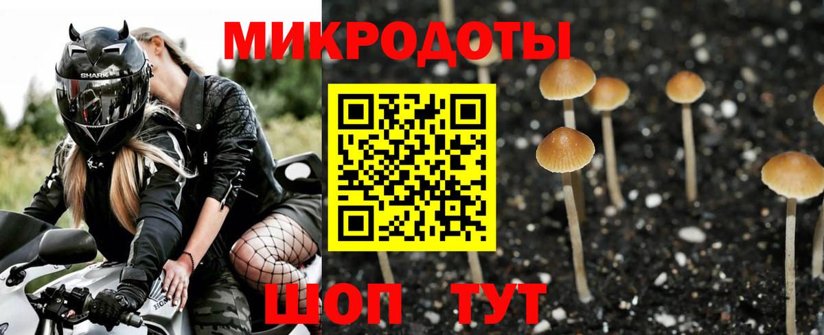Псилоцибиновые грибы GOLDEN TEACHER  Галлюциногенные грибы Psilocybe  Саянск  Вход с VPN 