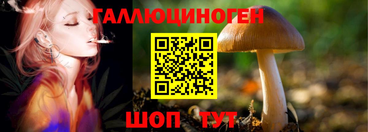 Псилоцибиновые грибы MAGIC MUSHROOMS Саянск